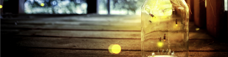 Banner image of a mason jar